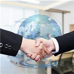 企業分類產品與服務 構建高效信息咨詢體系的關鍵